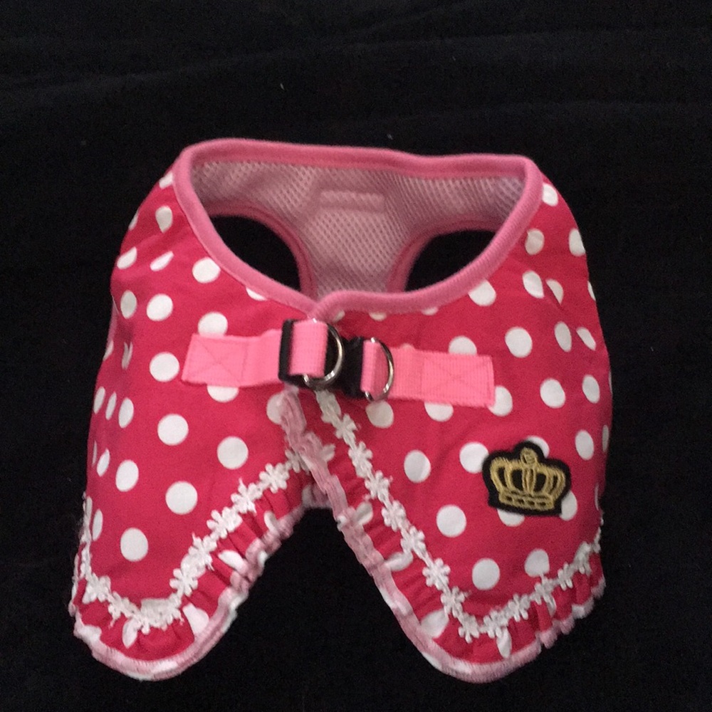 Princess harness 🐾